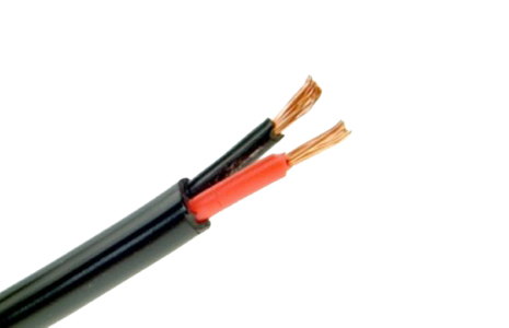 Twin core cable.